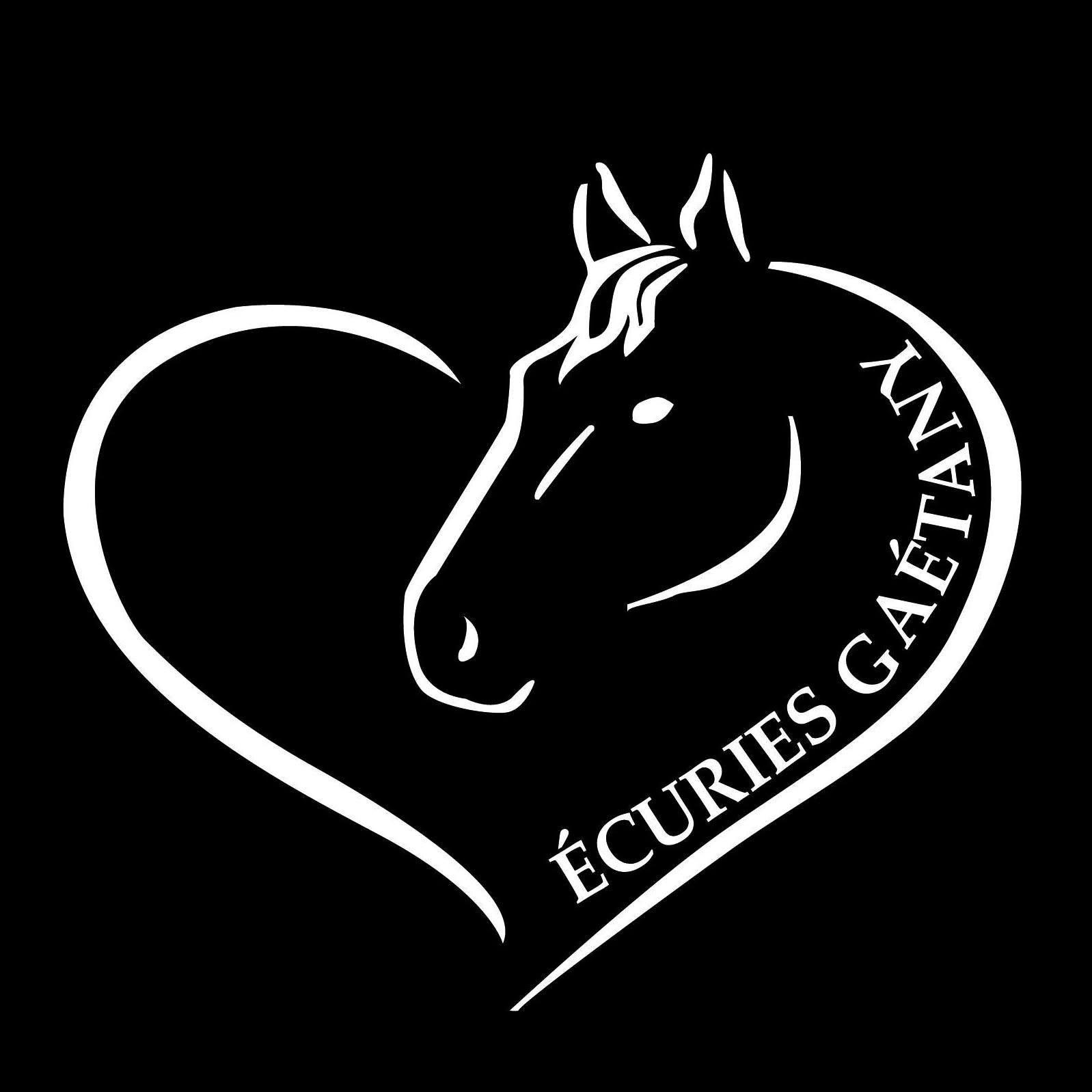 Journée cowboy – 6 heures à cheval | Écurie Gaétany